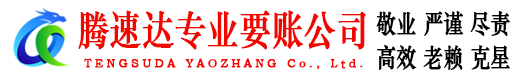 泰山清债公司